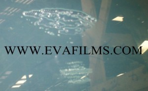 Bubbles of EVA FILM LAMINATED GLASS (2)